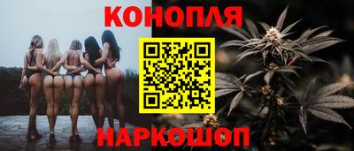 Альфа ПВП Нальчик